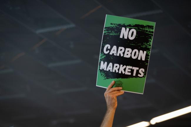 Carbon markets action