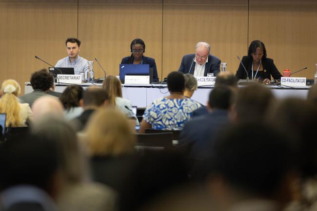 Informal consultations on research and systematic observations