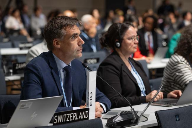 Felix Wertli, Switzerland, on behalf of the Environmental Integrity Group (EIG)