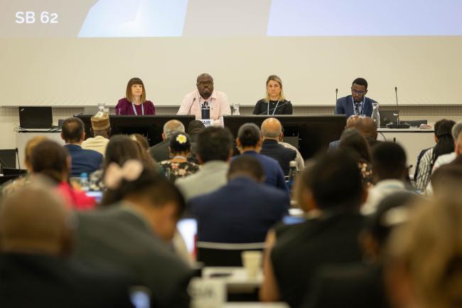 Informal consultations on Article 6.8