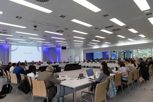 Delegates gather for the Paris Committee on Capacity-building (PCCB)