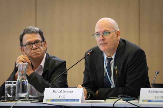 Martial Bernoux, Food and Agriculture Organization of the UN (FAO)
