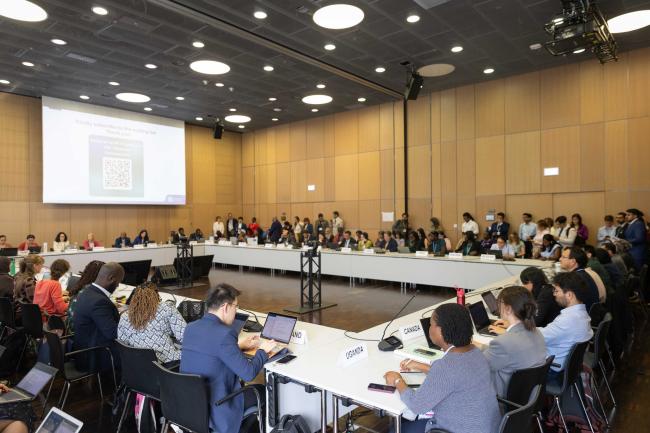 Informal consultations on adaptation communications