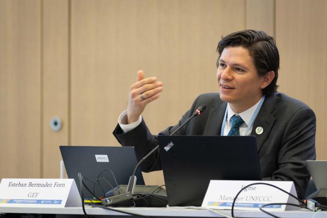 Esteban Bermudez Forn, Global Environment Facility (GEF)