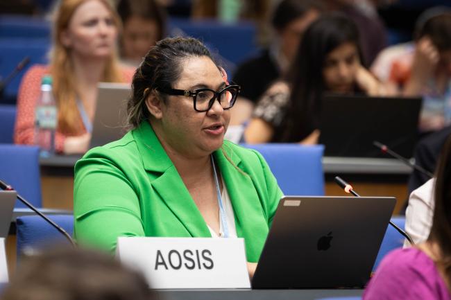 Anne Rasmussen, Samoa, on behalf of the Alliance of Small Island States (AOSIS)