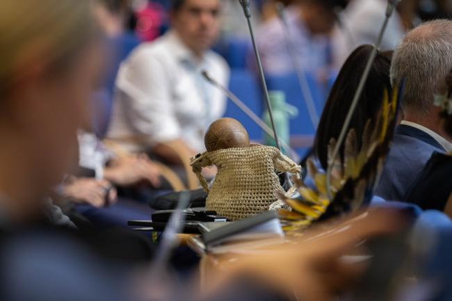 Brazilian basket