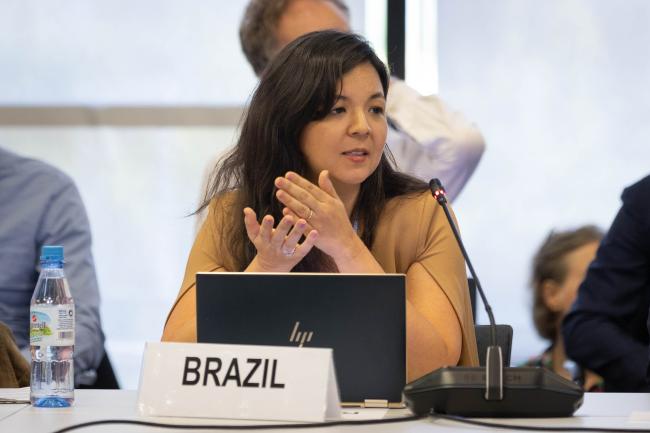 Marina Moreira Costa Pittella, Brazil