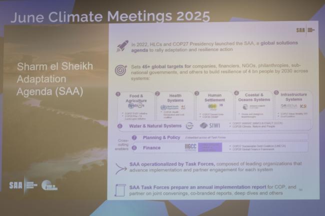 A slide provides information on the Sharm el-Sheikh Adaptation Agenda and it's relation to climate finance