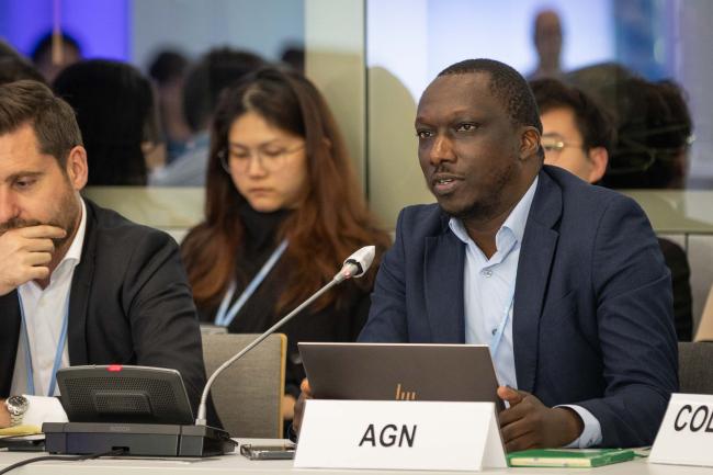 El Hadji Mbaye Diagne, African Group of Negotiators (AGN)
