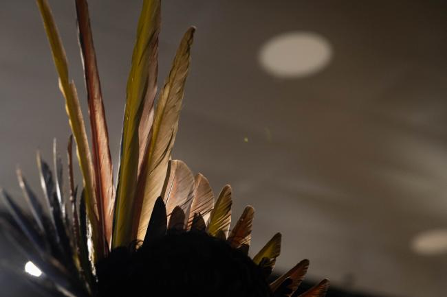 Feathers