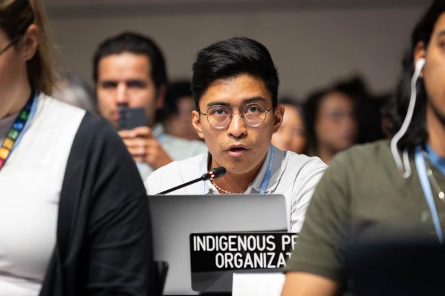 Bryan Abimael Bixcul Par, Indigenous Peoples Organizations (IPOs)