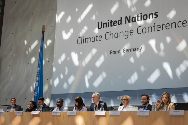 A number of countries present information on their NDC development