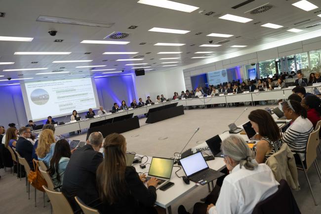 Delegates continue discussions on Article 6.2 ambition