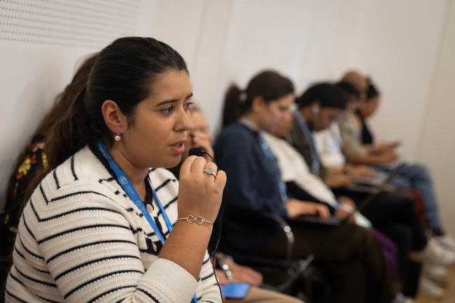 Translation in Portuguese is provided for Brazilian delegates