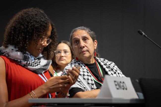 Tasneem Essop, Climate Action Network (CAN)