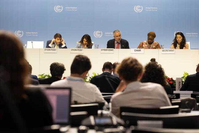 Observer delegates attend a townhall with the incoming COP 30 Presidency