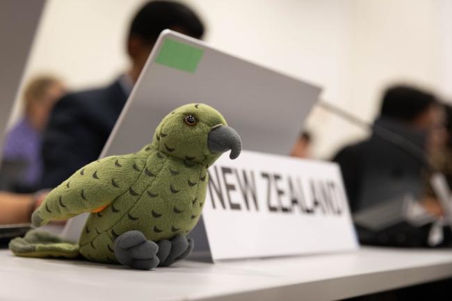 During a light-hearted moment, the G-77/China welcome the Kiwi to the loss and damage consultations as its newest member