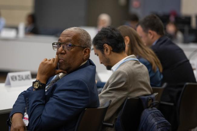 Delegates listen to the presentations