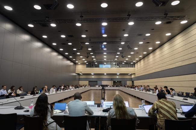 Informal consultations on response measures