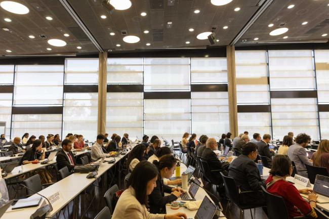Informal consultations on research and systematic observations