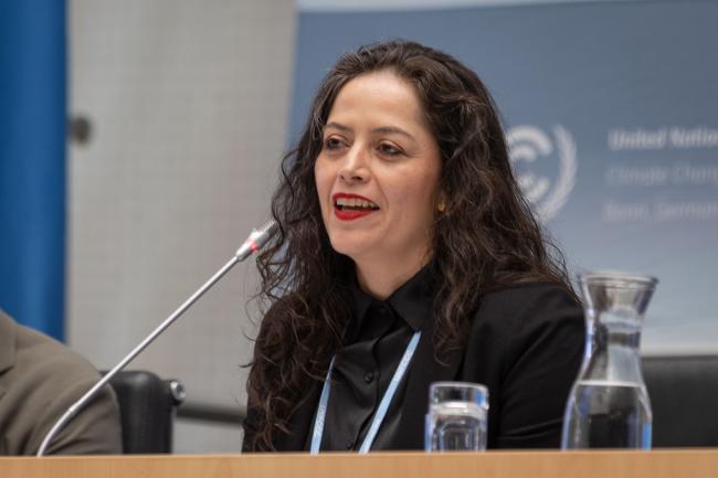 Andrea Ramirez, UN University