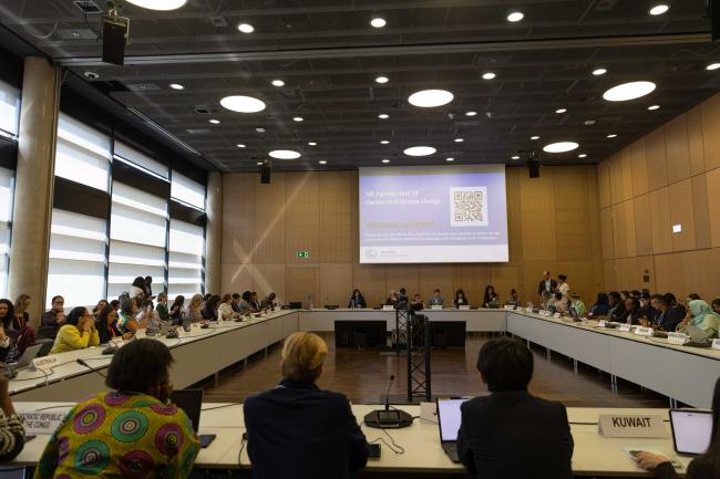 Informal consultations on gender and climate change