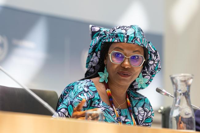 Hindou Oumarou Ibrahim, Indigenous Peoples Organizations