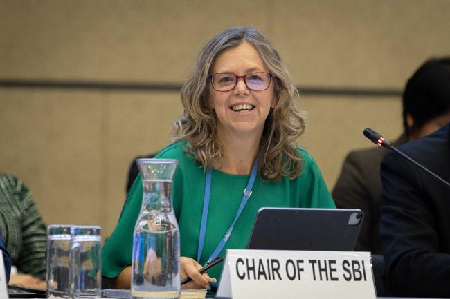 Julia Gardiner, SBI Chair