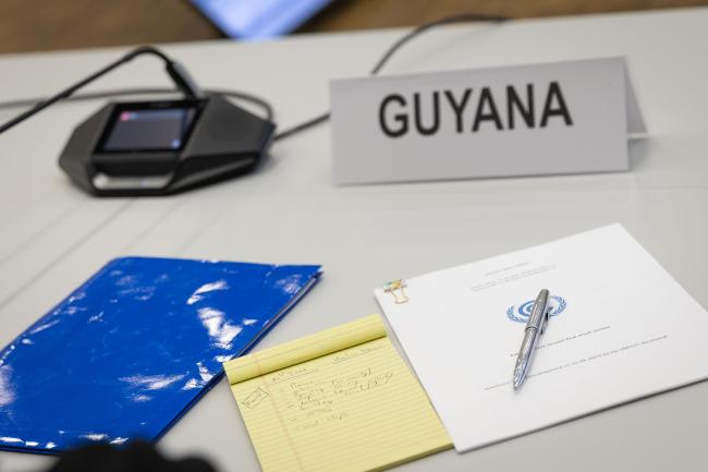 Pradeepa Bholanath, Guyana, presents their country report