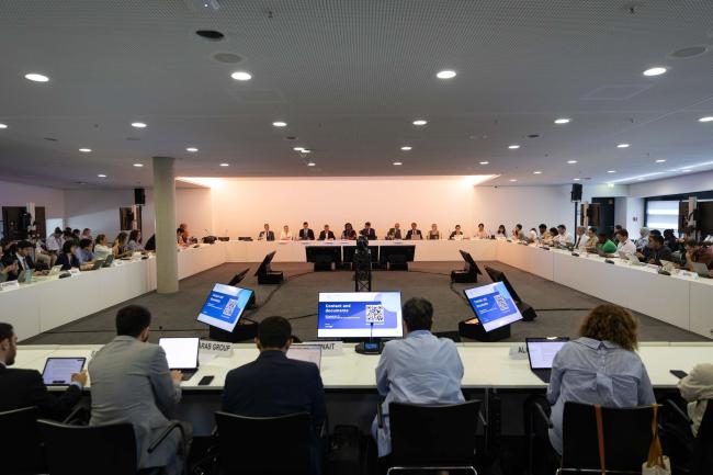 Informal consultations on administrative, financial, and institutional matters