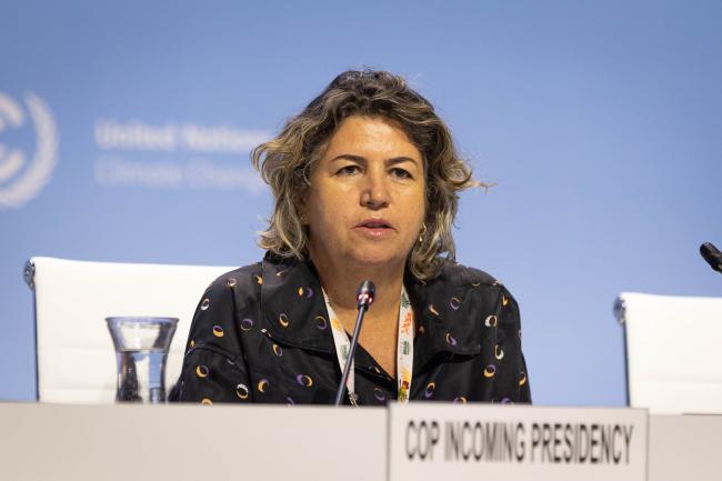 Liliam Chagas, incoming COP 30 Presidency