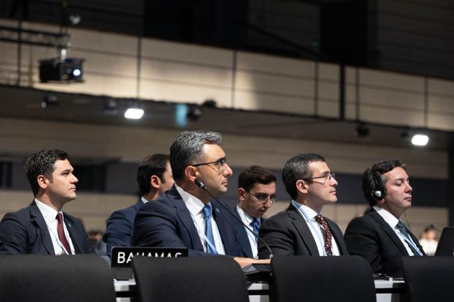 Members of the COP 29 Presidency