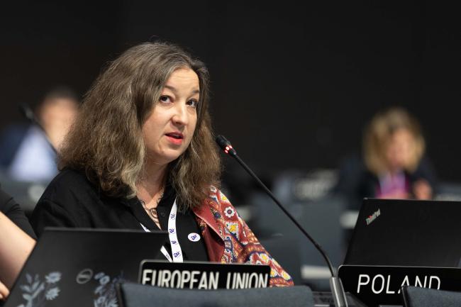 Lidia Wojtal, EU