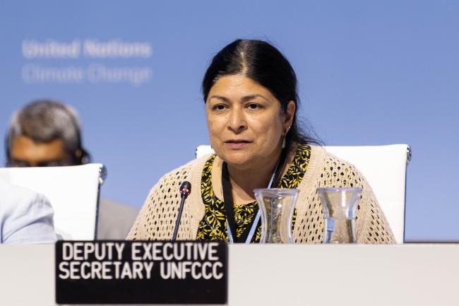 Chhaya Kapilashrami, Senior Director, UNFCCC Secretariat