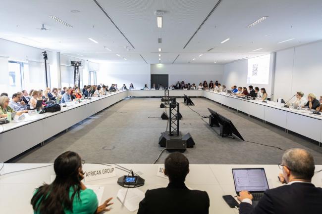 Informal consultations on arrangements for intergovernmental meetings (AIM)
