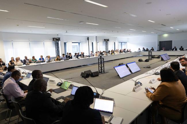 Informal consultations on research and systematic observations