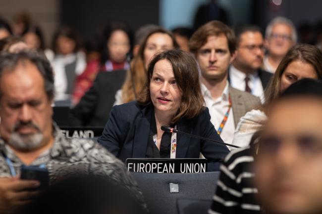 Katarzyna Wrona, EU