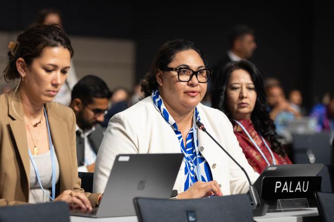 Anne Rasmussen, Palau, on behalf of the Alliance of Small Island States (AOSIS)