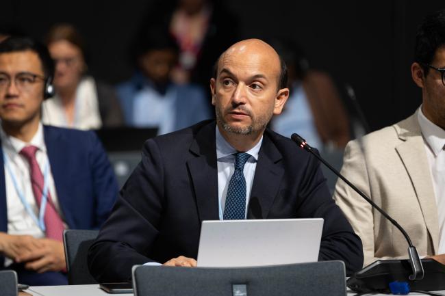 Eduardo Silva, Chile, on behalf of the Independent Alliance of Latin America and the Caribbean (AILAC)