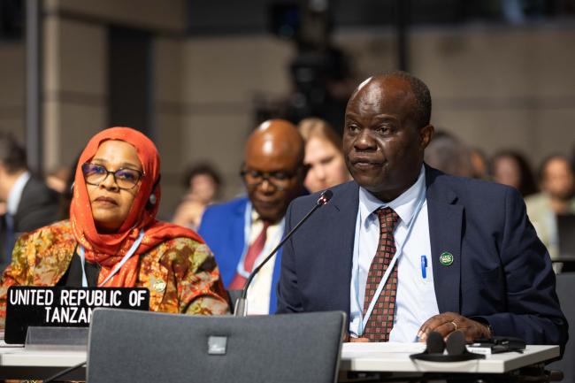 Richard Muyungi, Tanzania, on behalf of the African Group