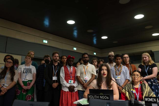 Boróka Ürge, Youth NGOs (YOUNGO), and Claire Suzanne Charlo, Women and Gender