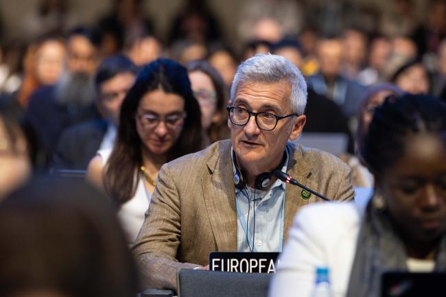 Jacob Werksman, EU