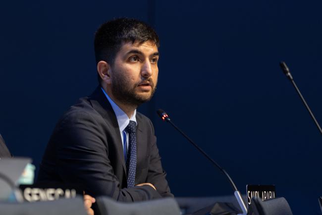 Mohammad Ayoub, Saudi Arabi, on behalf of the Arab Group
