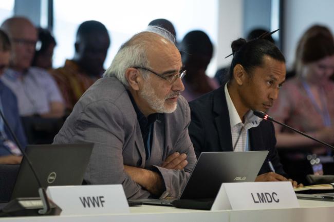 Diego Pacheco, Bolivia, representing Like-Minded Developing Countries (LMDCs)