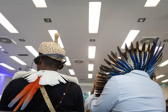 Indigenous Peoples