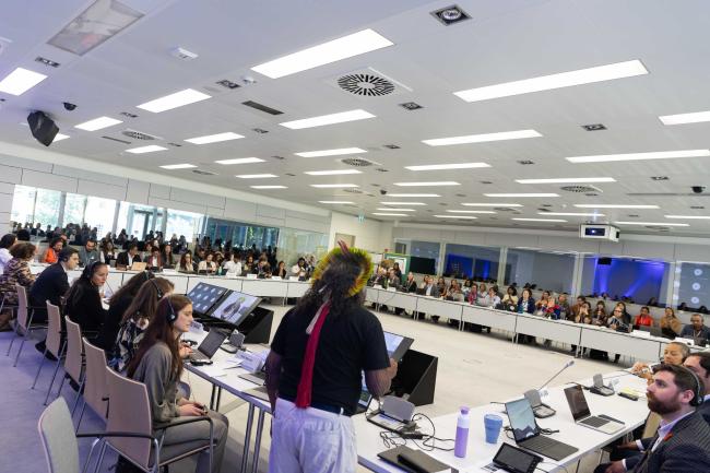 Delegates gather for the Annual Dialogue among Indigenous Peoples, Local Communities, Parties and other Stakeholders, 