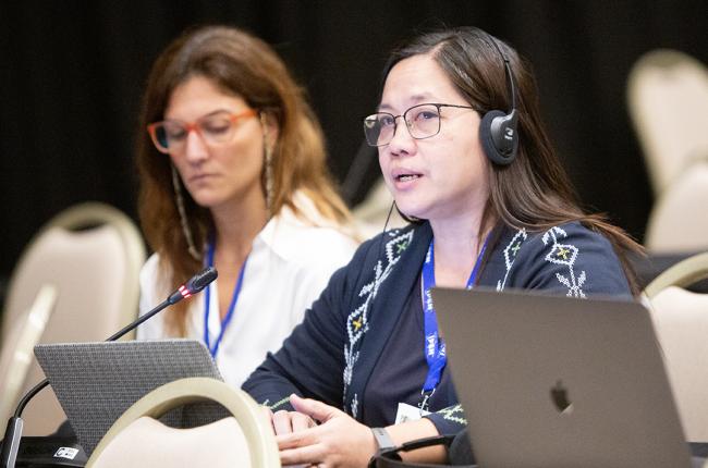 IPEN - OEWG32 - 15Jun2025