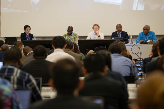 Informal consultations on national adaptation plans (NAPs)