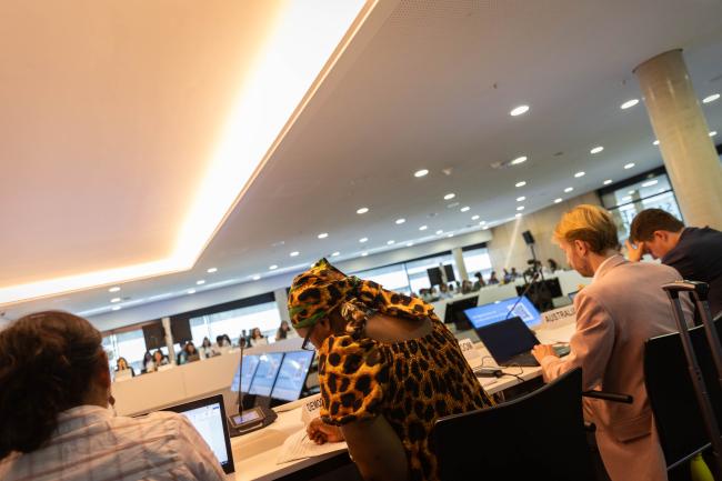 Informal consultations on gender and climate change