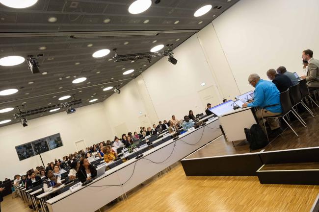 Informal consultations  on matters related to least developed countries (LDCs)